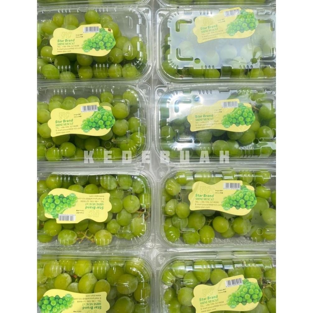 

Ct_C1077 Anggur Shine Muscat Green 500 Gr Gfd-6