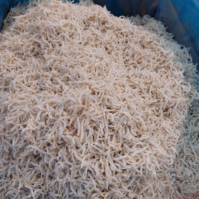 

Ikan Asin Teri Nasi Medan 500 Gram/Teri Nasi Medan Size Sedang 1Kg