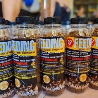 Feeding oxivoice pakan bubur lolohan murai kacer pentet ciblek jenngot kicau jalak AST