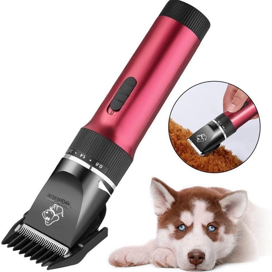 BAORUN P6 || Alat Cukur Bulu Binatang ( Domba,Anjing,Kucing,Dll) SV