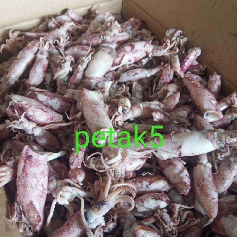 

Cumi Asin Beby 10Kg/Cumi Asin Rebus/Beby Cumi Asin