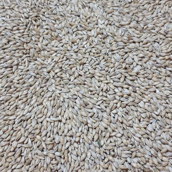 

Imatton premium import AUS PILSEN malt grain homebrew craftbeer