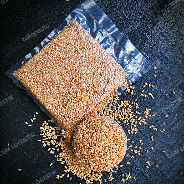 GANDUM UTUH IMPORT - 5/10/25 KG - WHOLE WHEAT - SUPER GRADE