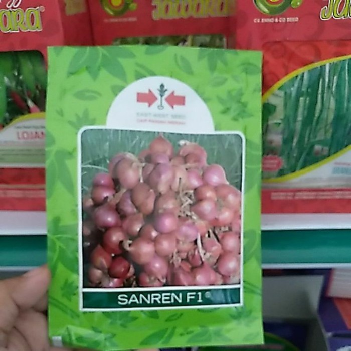 

TERLARIS BENIH BAWANG MERAH SANREN F1 10G BIBIT BAWANG MERAH MURAH!!! MURAH