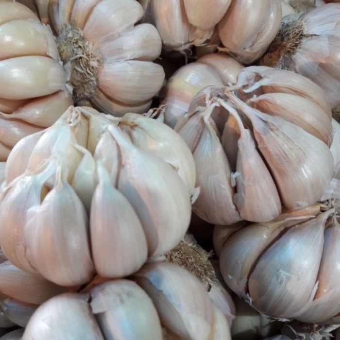 

TERLARIS BAWANG PUTIH HONAN BANCI BERSIH 1 KG MURAH!!! MURAH