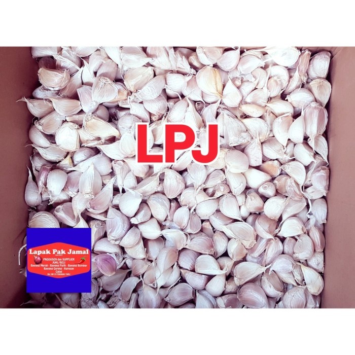 

TERLARIS BAWANG PUTIH KATING - 1 KG - LPJ MURAH!!! MURAH