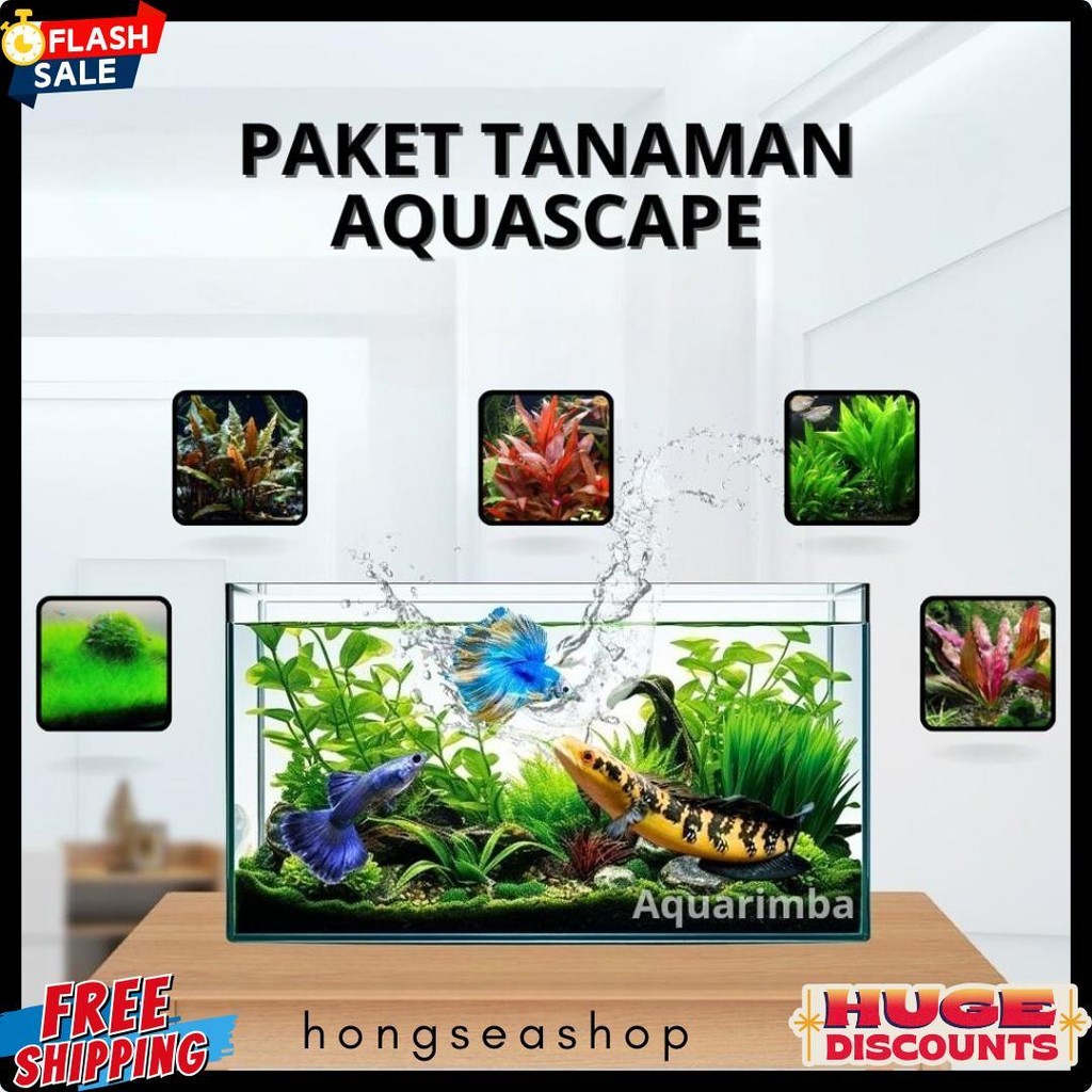 Paket Dutch Style  ( Tanaman Aquascape Tumbuhan Air Hidup Hiasan Dekorasi Pohon Rumput Aquarium ) Di