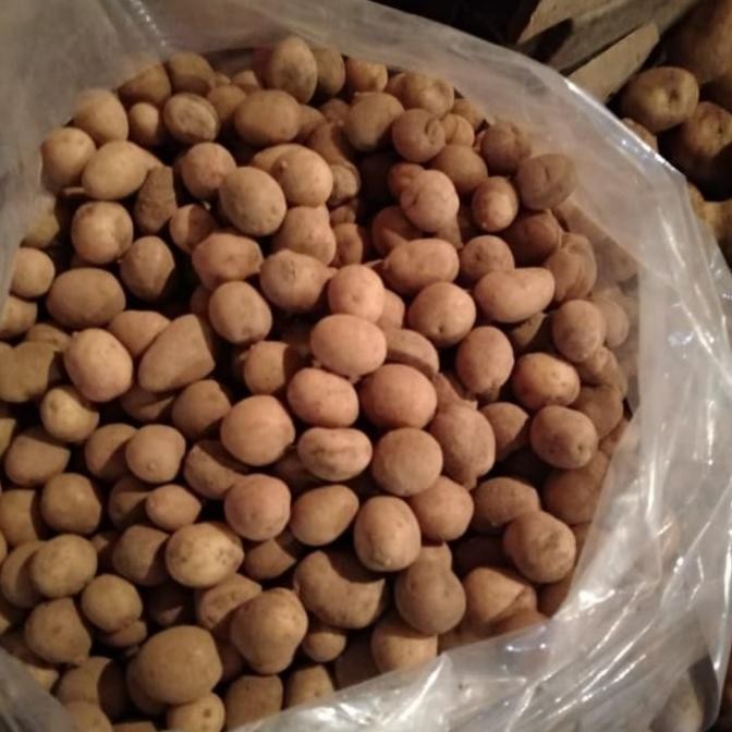 

Kentang Rendang / Baby Potato 1Kg Original