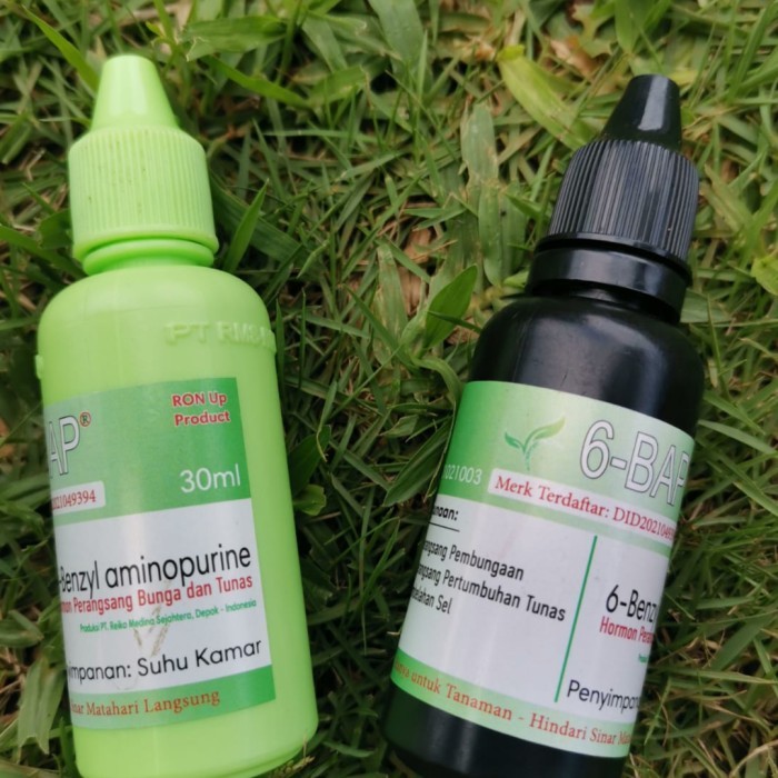 ASLI PUPUK HORMON PERTUMBUHAN 6-BAP ORIGINAL KODE 277