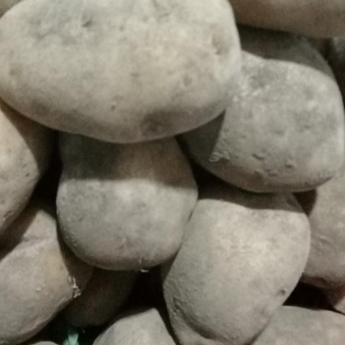 

Kentang Dieng Super 1Kg Original