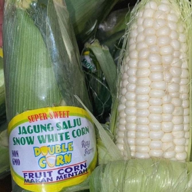 

Jagung Alju Bia Dimaan Mentah 1
