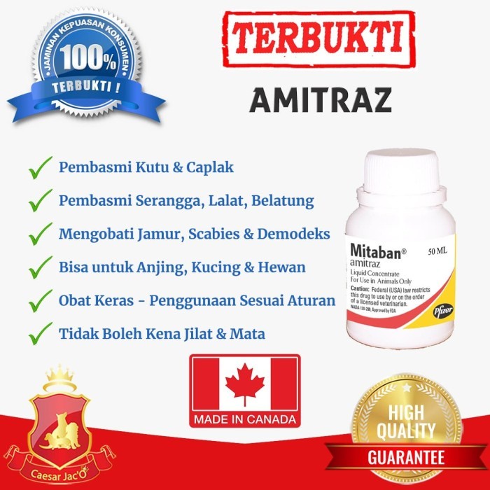 TERLARIS Amitraz Amitras Obat Kutu Kulit Scabies Demodeks Jamur Anjing Kucing