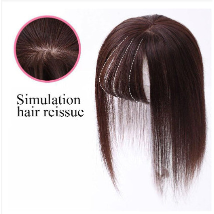 CLIP-ON HAIR TOPPER WIG HUMAN HAIR CLIP RAMBUT PALSU WANITA