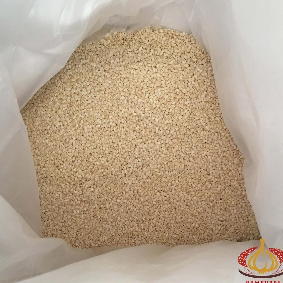 

Wijen Putih White Eame Eed 1 A Arung Ball 25 G Nt