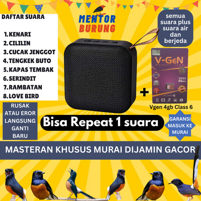 Speaker Masteran Mp3 Khusus Burung Murai Batu Air Betina Pikatan