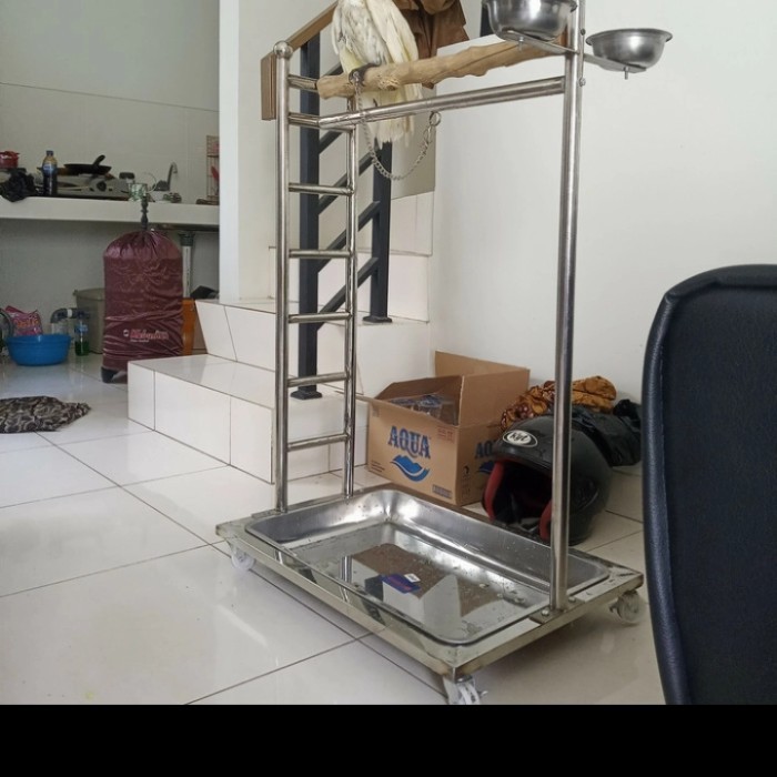 tangkringan burung kaka tua / macaw jumbo