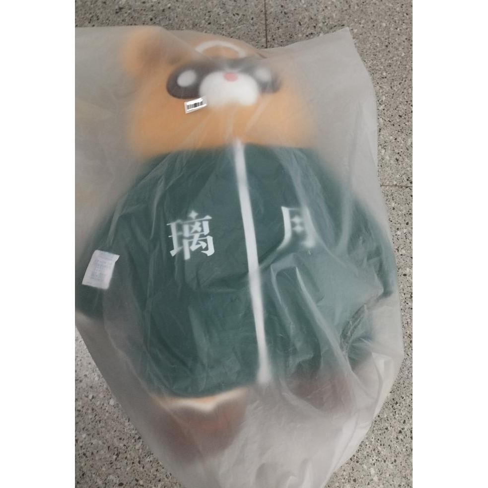 Genshin Impact God of The stove Marchosias Guoba Life Size Plushie