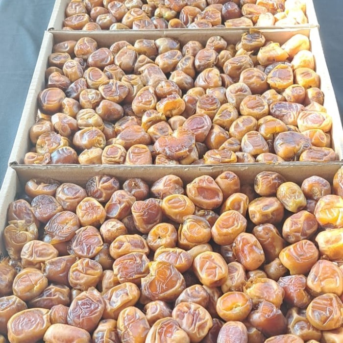 

Promosi Kurma sukkari premium al haramain 3kg panen baru