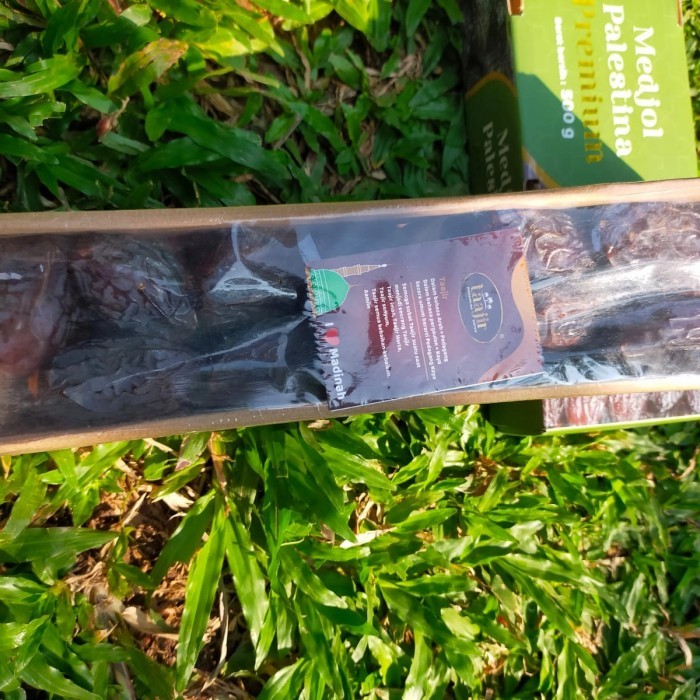 

kurma medjol jumbo palestina premium /kurma medjol taajir jumbo