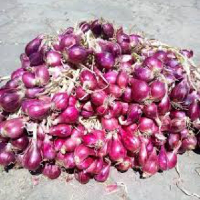 

Promo Bawang Merah Brebes Super 1 Kg Di Jamin Bagus Best Seller