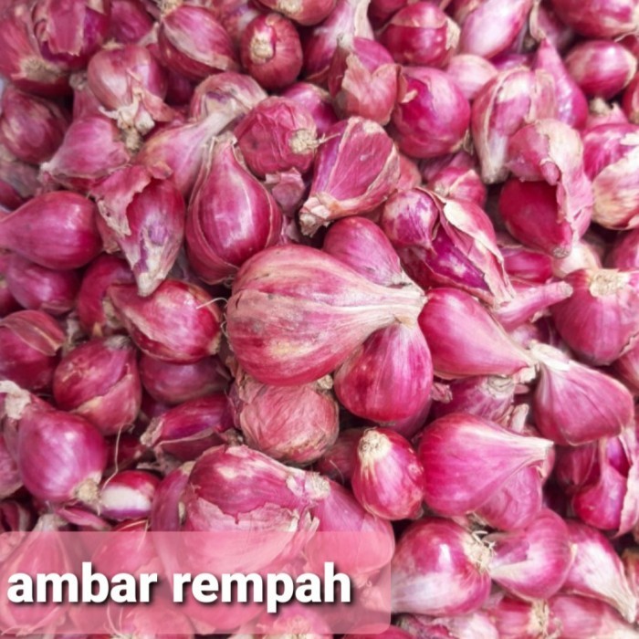 

Promo Bawang Merah Brebes Fresh Campur 250Gram. Best Seller