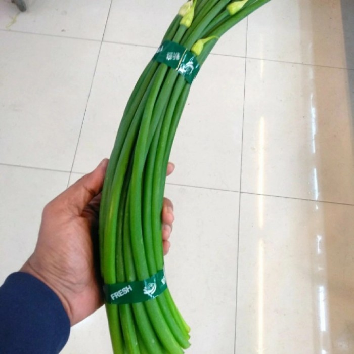 

Harga Termurah Bunga Bawang Fresh/Pcs Best Seller