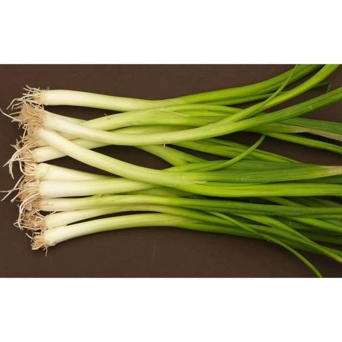 

Harga Termurah Daun Bawang Segar Best Seller