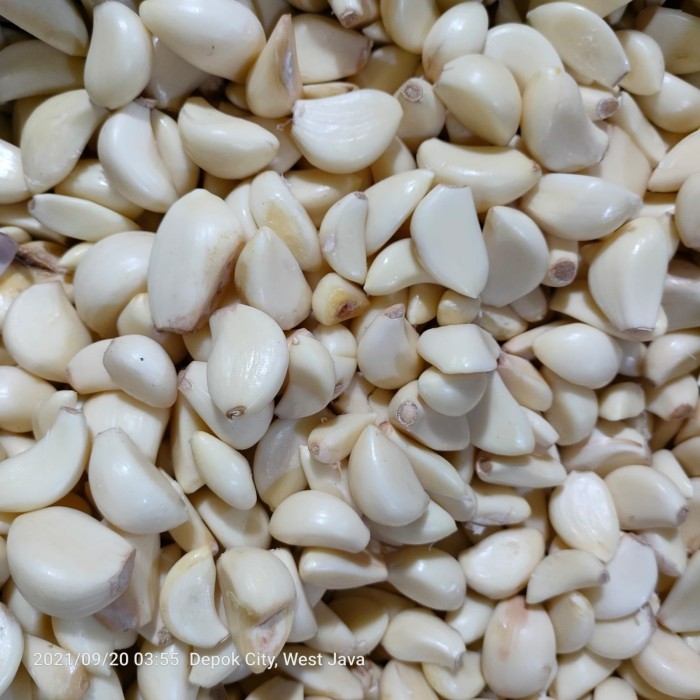 

Harga Termurah Bawang Putih Kupas Bawang Kupas Best Seller