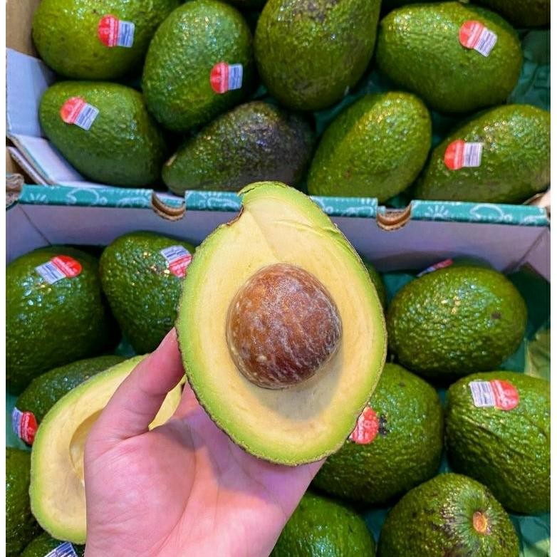 

Alpukat Haas import Avocado Australia | Buah Alpukat import | 1 kg