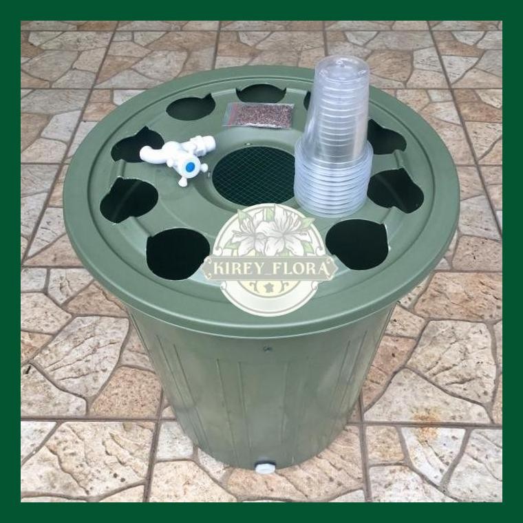 Paket Budikdamber Budidaya Ikan Lele Dan Sayuran Kangkung Dalam Ember