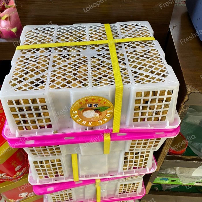 

KELENGKENG KERANJANG BANGKOK 5 KG