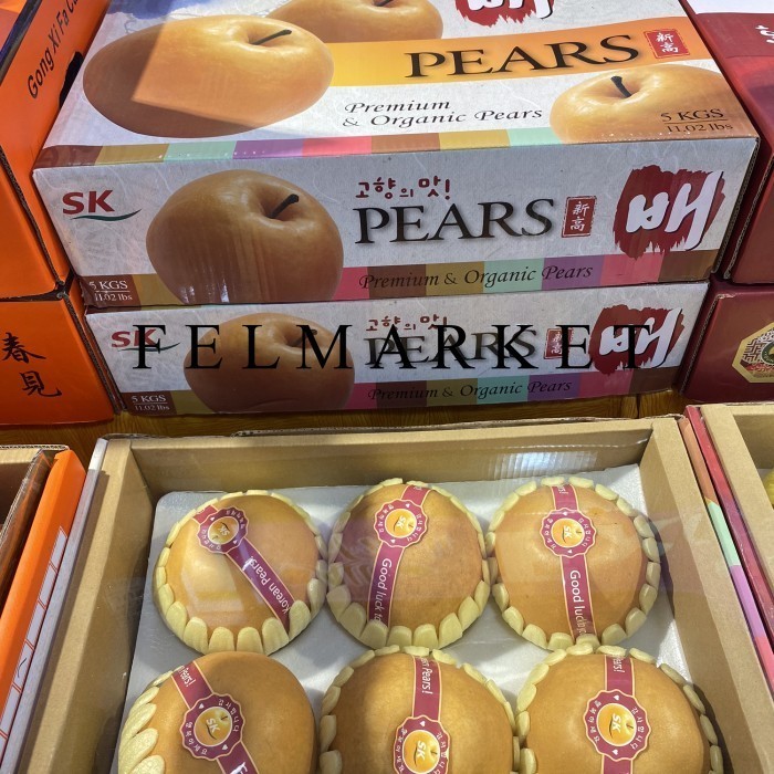 

Pear Singo Korea JUMBO Organic & Premium Isi 6 Pcs/Hampers Buah Imlek