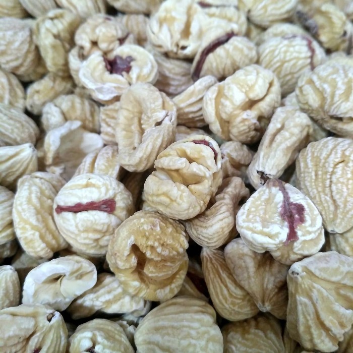 

Kacang Lakci Chestnut 1/2 Kg