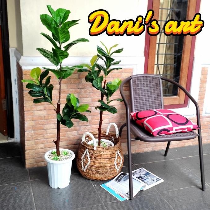 Pohon ketapang biola palsu/ pohon ketapang artificial/pohon karet kebo