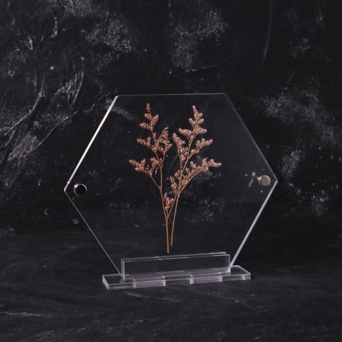 Standing Floating Frame Acrylic | Double Akrilik Frame Jepit Flower