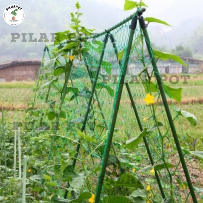 

JARING RAMBATAN TANAMAN PLANT CLIMBING NET 1,8 METER - JARING RAMBATAN