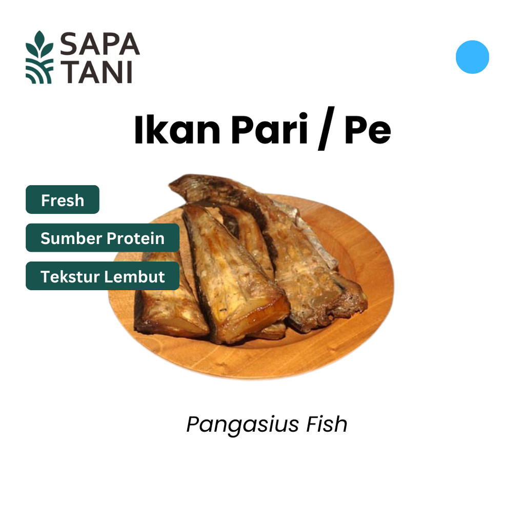 

Ikan Pe Segar 250 gr Sapatani Ikan Gurih untuk Pepes Bakar atau Goreng