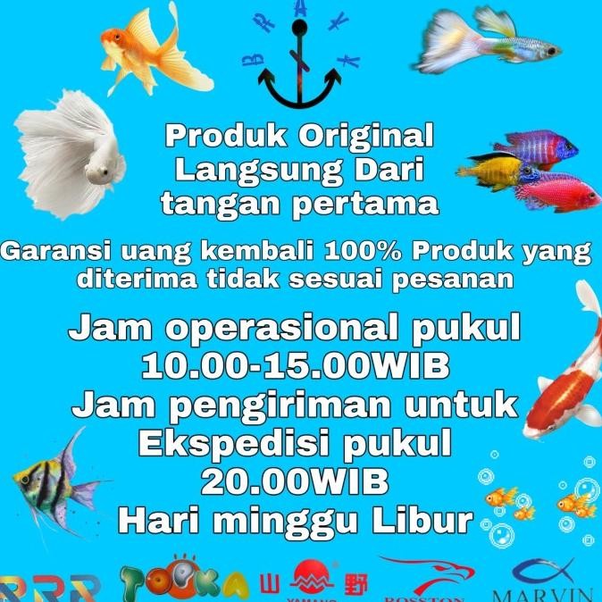 Diskon Pompa Air Kolam Ikan Koi Air Mancur Yamano Eco 16000 Low Watt