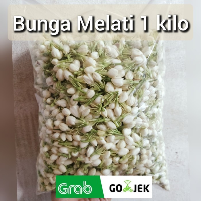 TERBARU bunga melati tabur ronce wangi dan segar 1 kilo gram