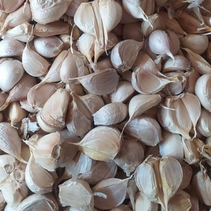

BAWANG PUTIH KATING 250 GR ORIGINAL