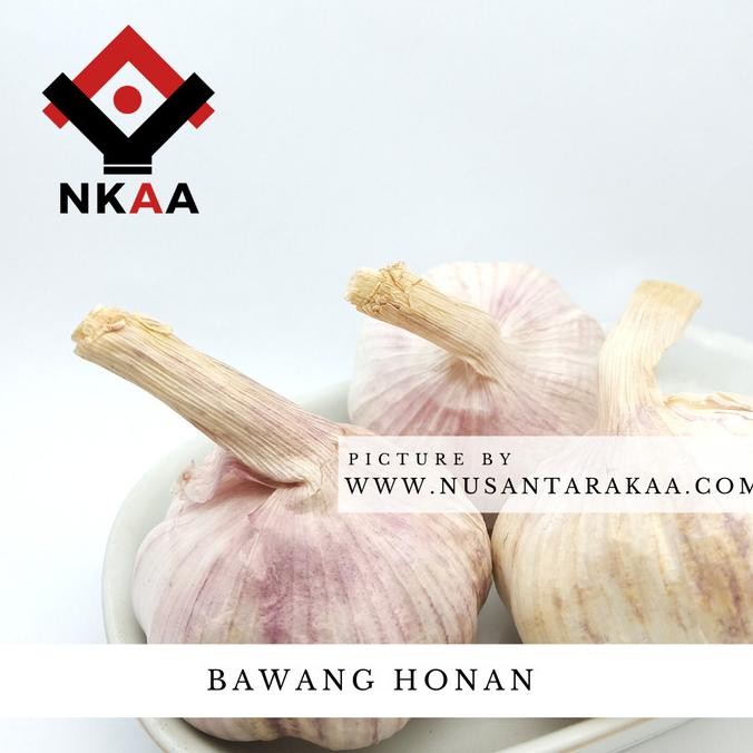 

BAWANG PUTIH HONAN / BANCI KOTOR PER KARUNG ISI 5 KG ORIGINAL