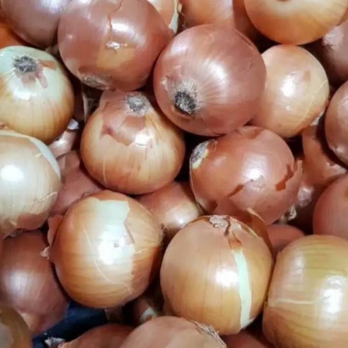 

BAWANG BOMBAY SEGAR PREMIUM 500GRAM ORIGINAL