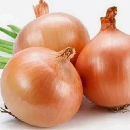 

BAWANG BOMBAI MURAH 1KG ORIGINAL