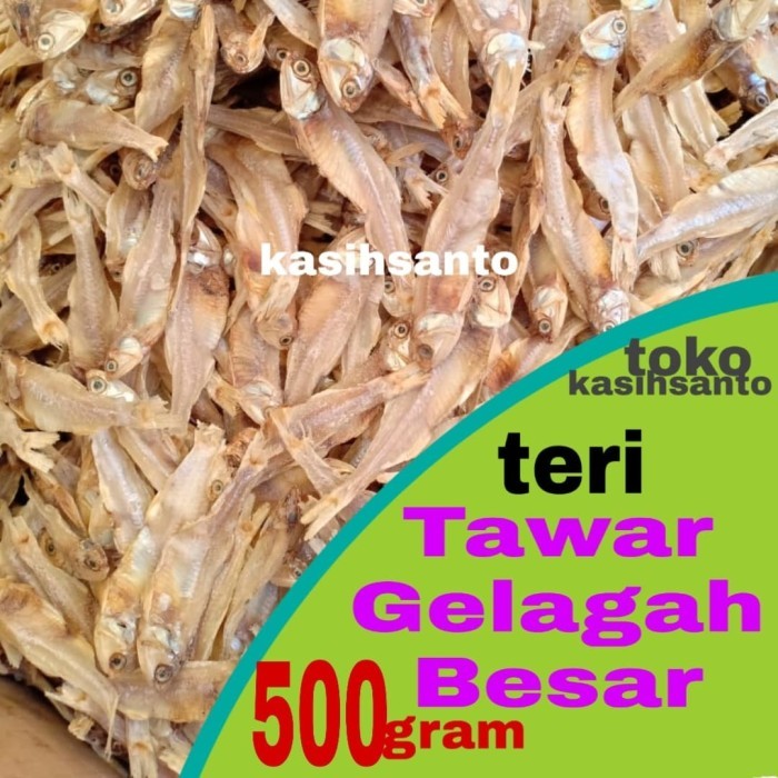 

Teri tawar gelaga jumbo-500gram