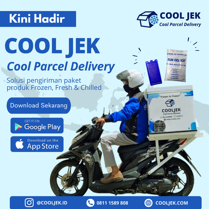 COOLER BOX GIANT 25 LITER + THERMOMETER DIGITAL / COOLER BOX VAKSIN