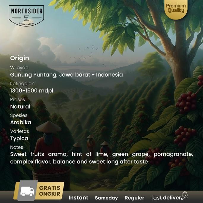 

Northsider Kopi Arabika Gunung Puntang Natural Coffee