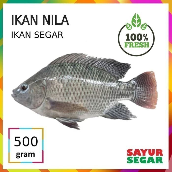 

Ikan Nila [500G]