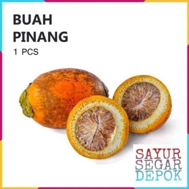 

BUAH PINANG ISI 3 PCS