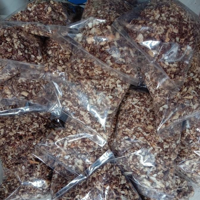 

Tersedia !!! \New/ Patahan Astor Double Coklat Mayora