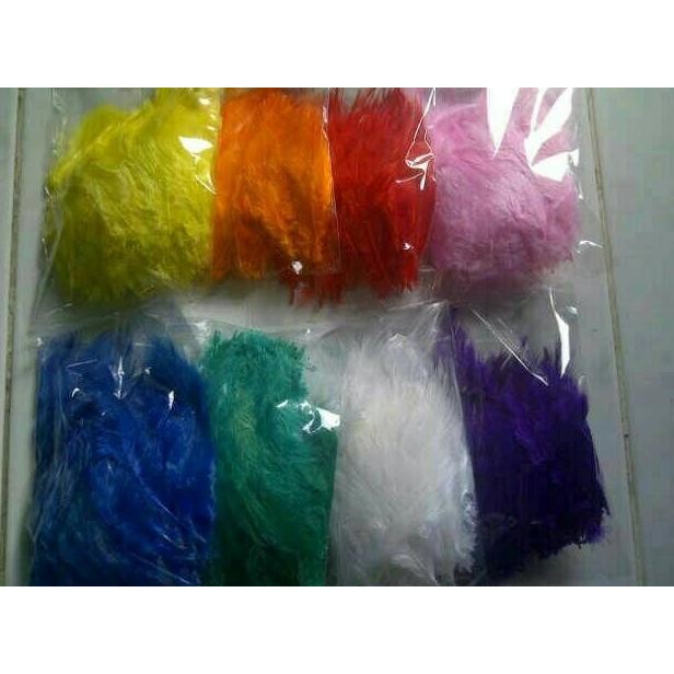 BULU AYAM WARNA WARNI